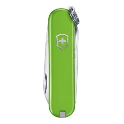 VICTORINOX Classic SD Swiss Army Knife Green