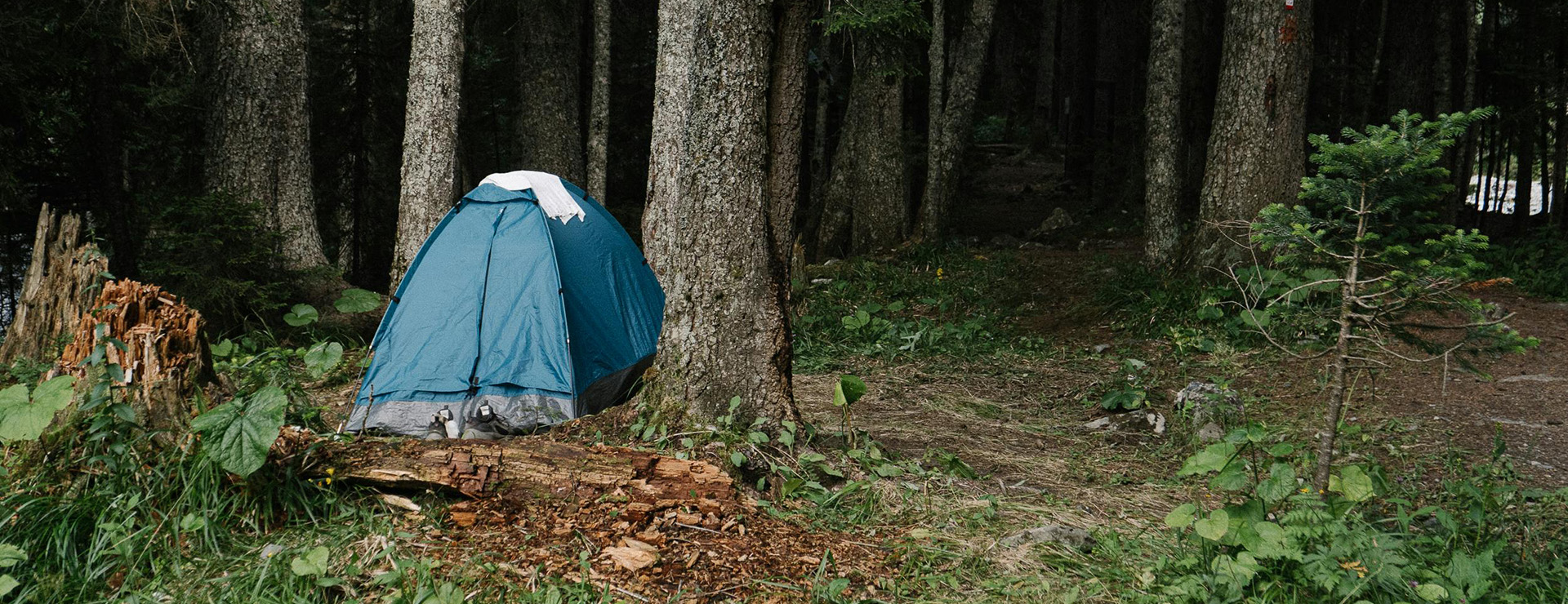 Camping Gear -Camping Gear pexels darina belonogova 9159974